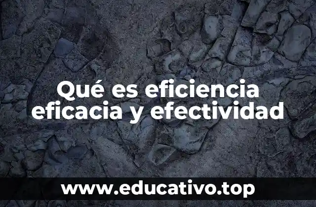 Qué es eficiencia eficacia y efectividad