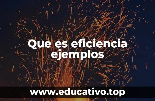 Que es eficiencia ejemplos