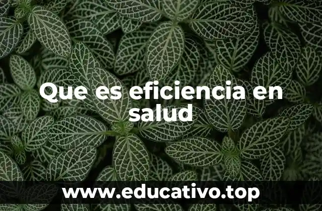 Que es eficiencia en salud