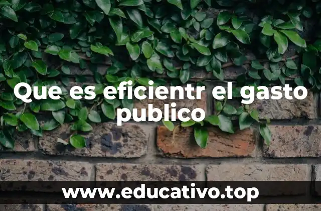Que es eficientr el gasto publico