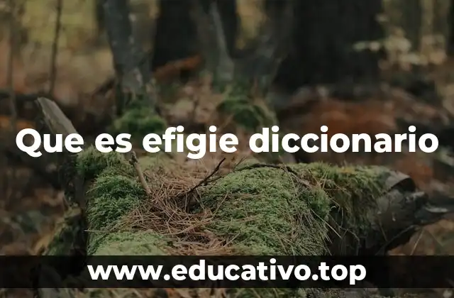Que es efigie diccionario