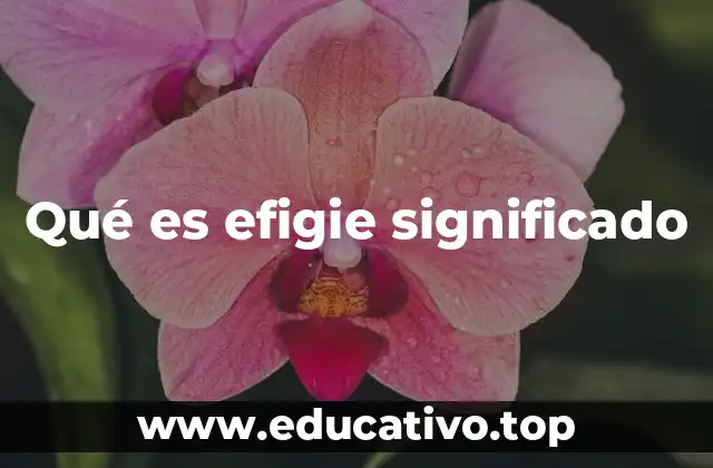Qué es efigie significado