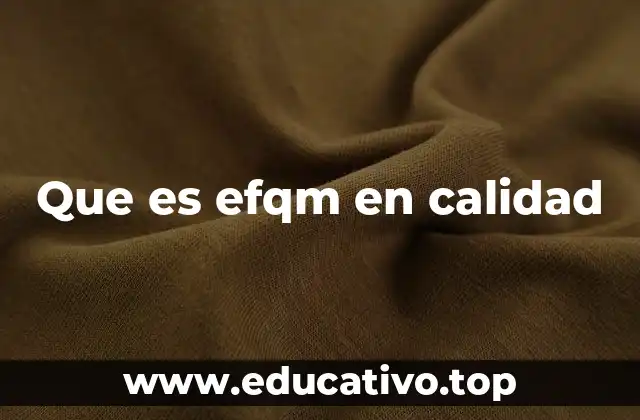 Que es efqm en calidad