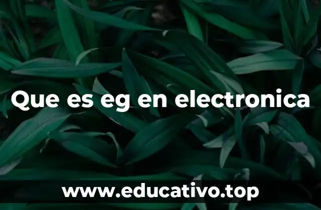Que es eg en electronica