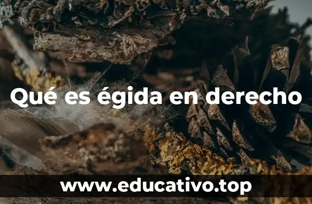 Qué es égida en derecho