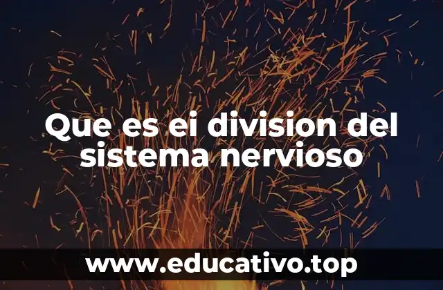 Que es ei division del sistema nervioso