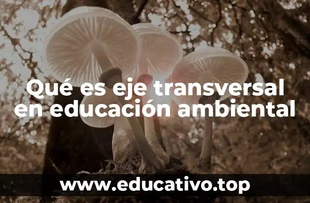Qué es eje transversal en educación ambiental