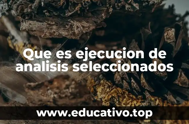 Que es ejecucion de analisis seleccionados