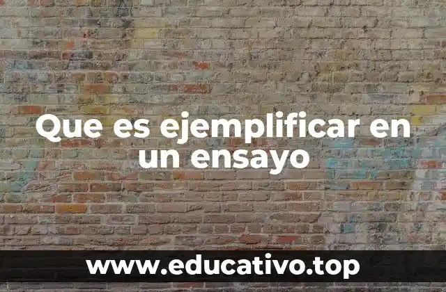 Que es ejemplificar en un ensayo