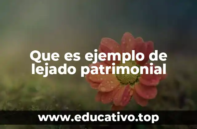 Que es ejemplo de lejado patrimonial