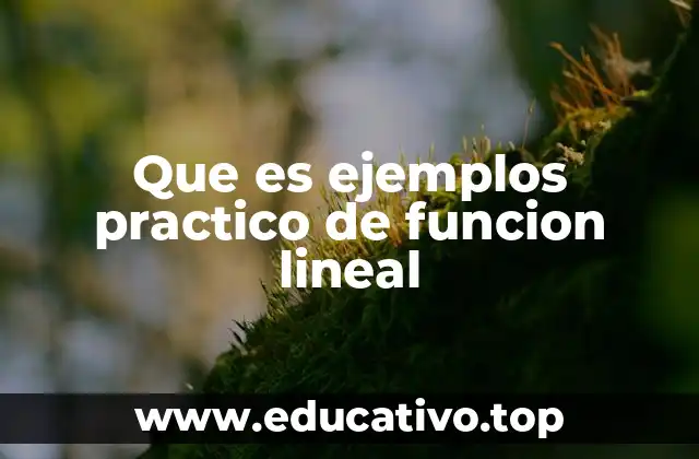 Que es ejemplos practico de funcion lineal