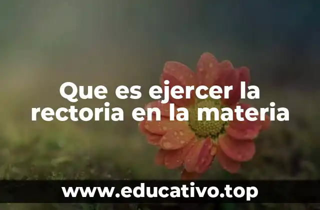 Que es ejercer la rectoria en la materia