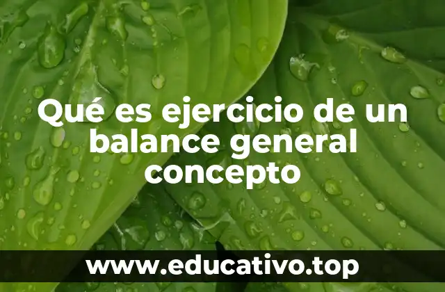 Qué es ejercicio de un balance general concepto