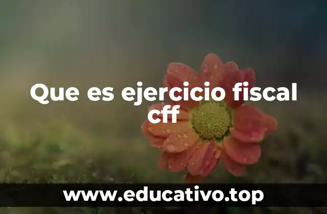 Que es ejercicio fiscal cff