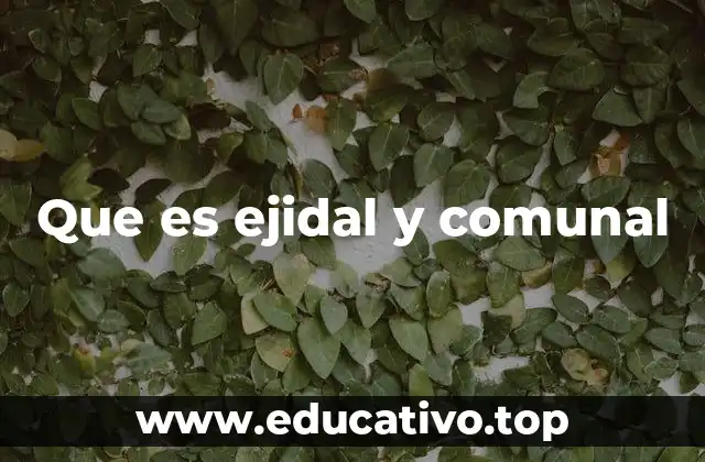 Que es ejidal y comunal