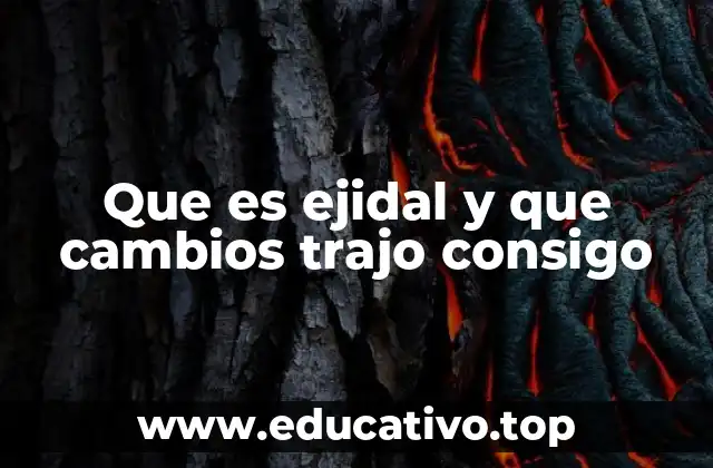 Que es ejidal y que cambios trajo consigo