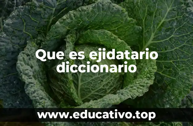 Que es ejidatario diccionario