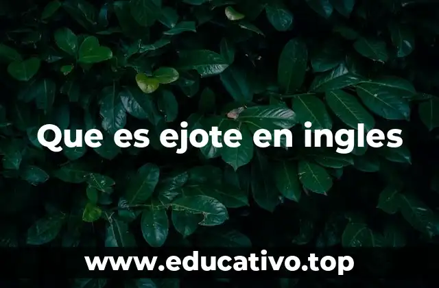 Que es ejote en ingles