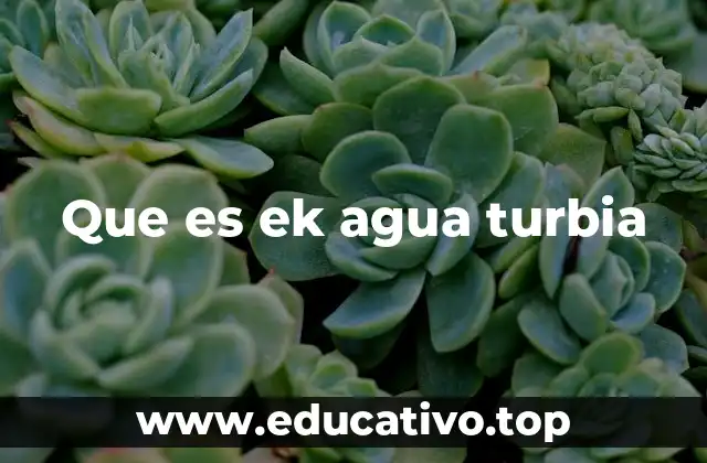 Que es ek agua turbia