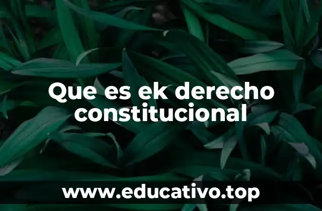Que es ek derecho constitucional