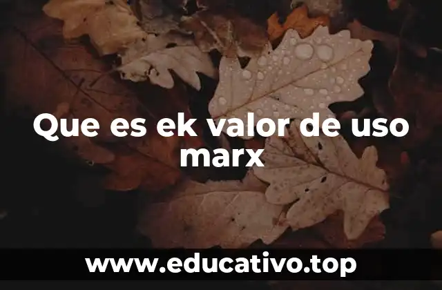 Que es ek valor de uso marx