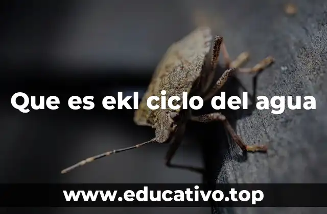 Que es ekl ciclo del agua