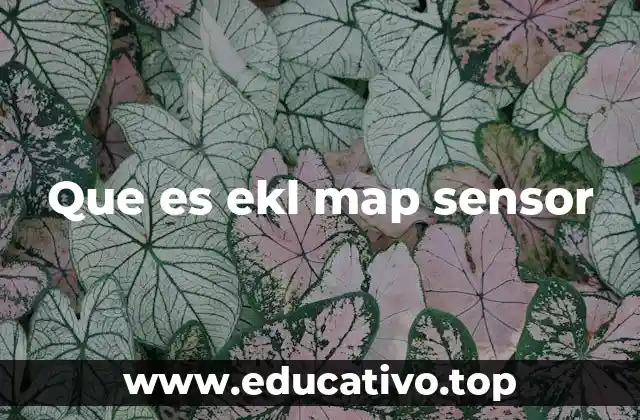 Que es ekl map sensor