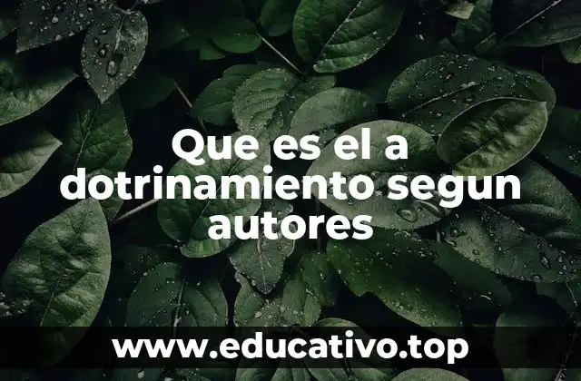 La influencia del adotrinamiento en la formación social y cultural