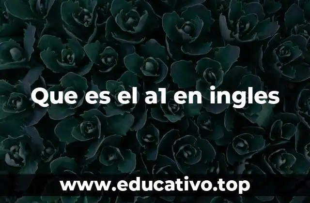 Que es el a1 en ingles
