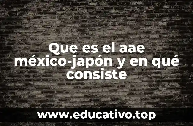 Que es el aae méxico-japón y en qué consiste