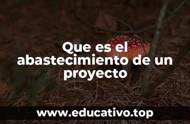 Que es el abastecimiento de un proyecto