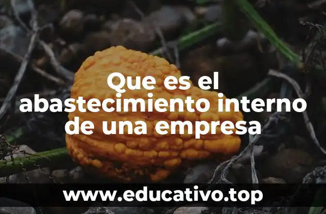 Que es el abastecimiento interno de una empresa