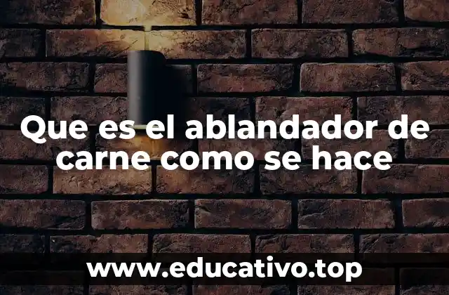 Que es el ablandador de carne como se hace