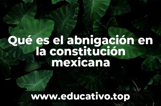 El papel de la amnistía en la justicia penal mexicana