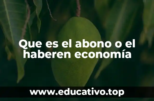 Que es el abono o el haberen economía