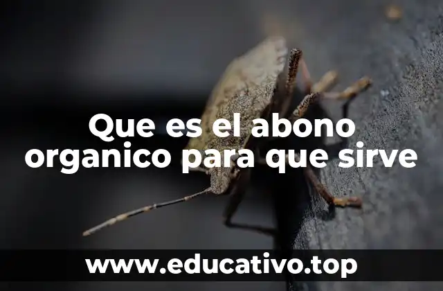 Que es el abono organico para que sirve