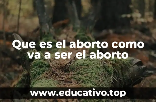 Que es el aborto como va a ser el aborto
