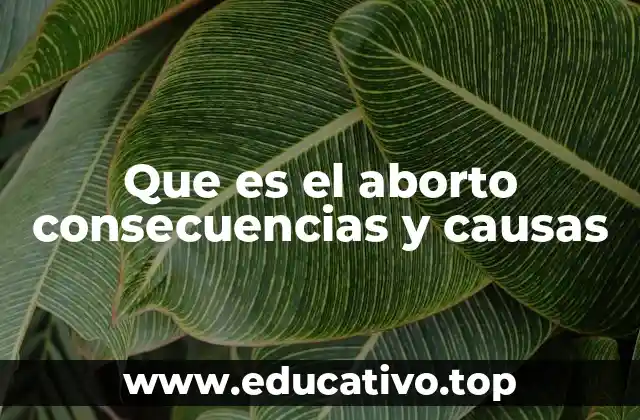 Que es el aborto consecuencias y causas