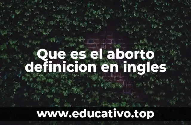 Que es el aborto definicion en ingles