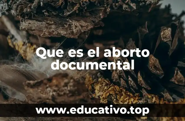 Que es el aborto documental