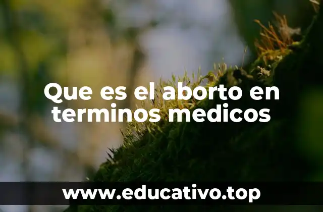 Que es el aborto en terminos medicos