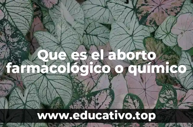 Que es el aborto farmacológico o químico