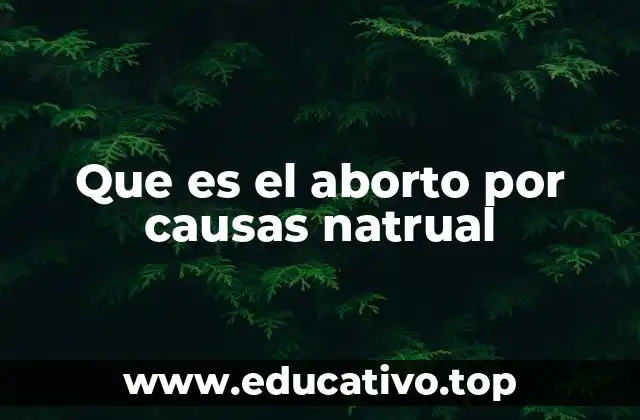 Que es el aborto por causas natrual