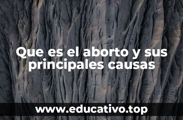 Que es el aborto y sus principales causas