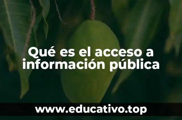Qué es el acceso a información pública