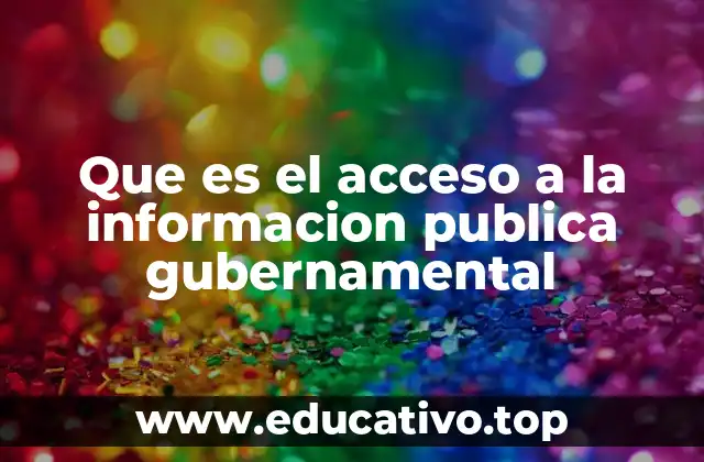 Que es el acceso a la informacion publica gubernamental