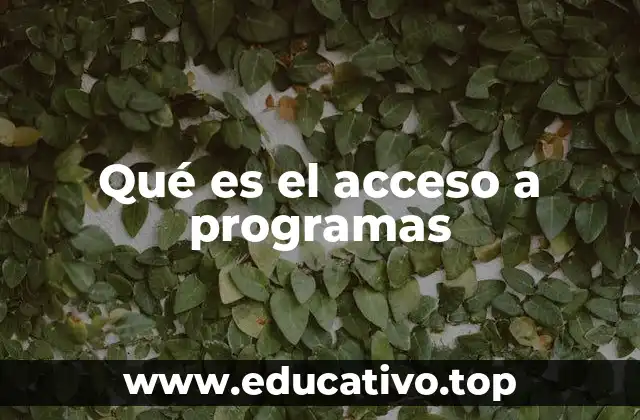 Qué es el acceso a programas