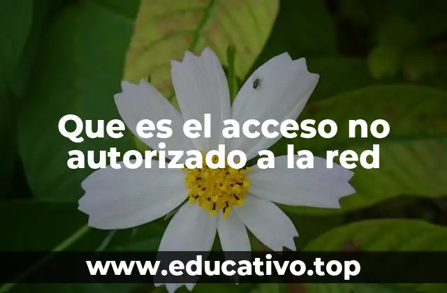 Que es el acceso no autorizado a la red