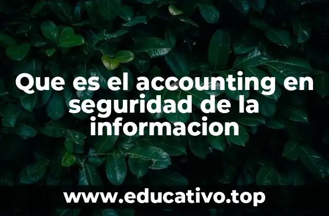 Que es el accounting en seguridad de la informacion
