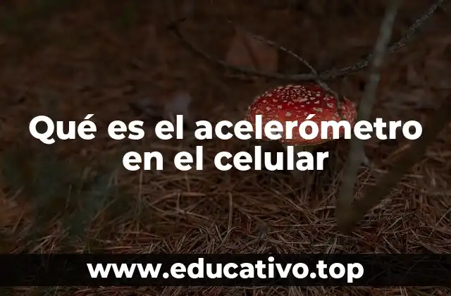 Qué es el acelerómetro en el celular